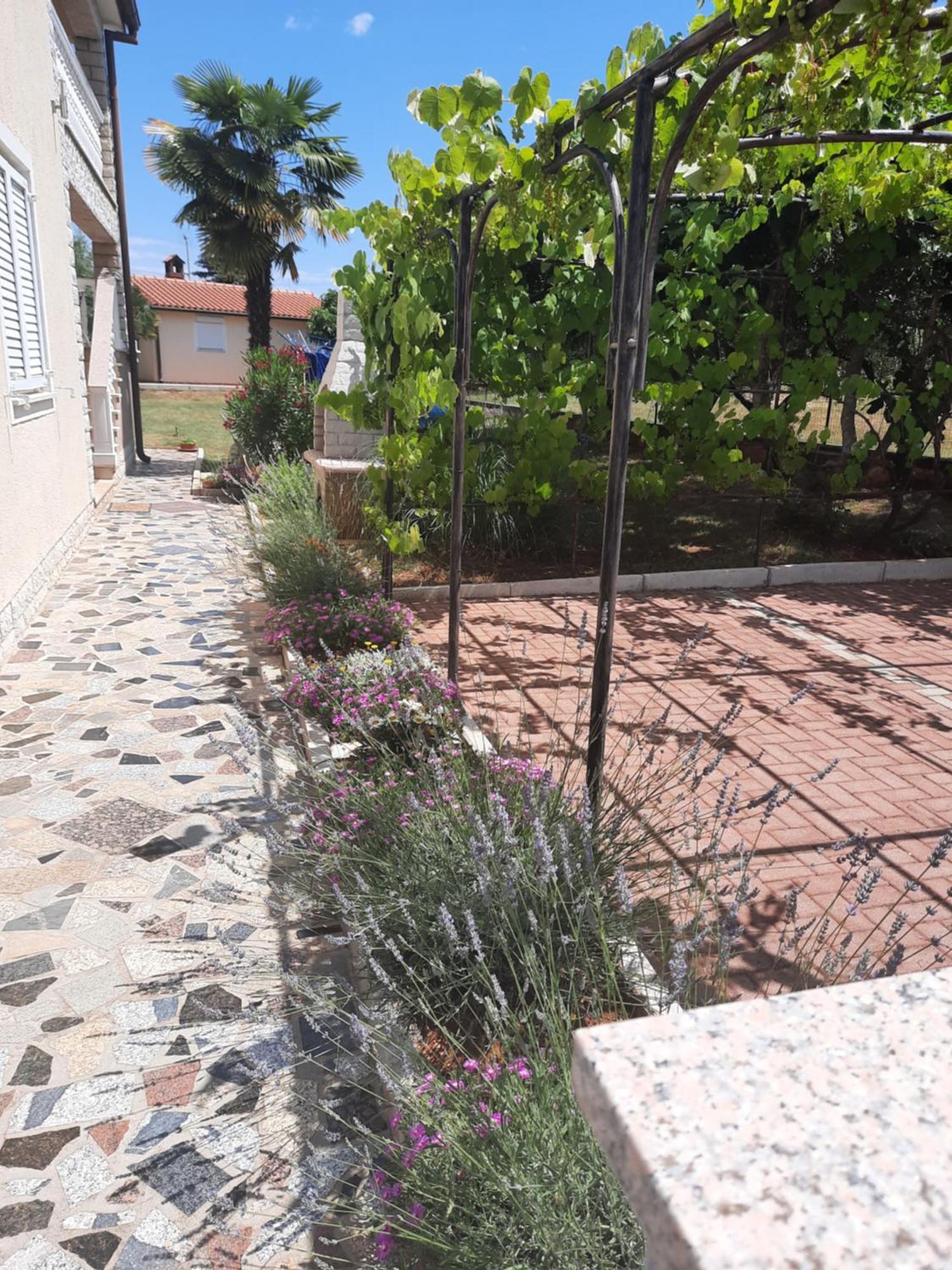 Apartments Marinela Poreč Pokoj fotografie